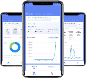 Business Data Analytics (App & Web)